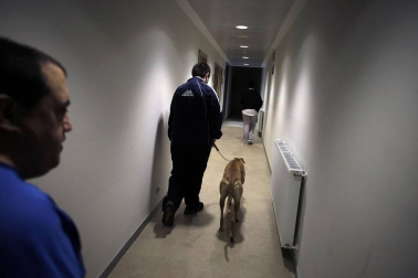 Dos galgos están cambiando, a mejor, el ritmo de vida del centro hospitalario benito menni de elizondo.
