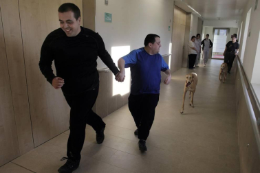 Dos galgos están cambiando, a mejor, el ritmo de vida del centro hospitalario benito menni de elizondo.