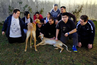 Dos galgos están cambiando, a mejor, el ritmo de vida del centro hospitalario benito menni de elizondo.