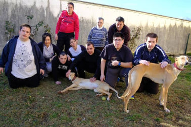 Dos galgos están cambiando, a mejor, el ritmo de vida del centro hospitalario benito menni de elizondo.