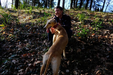 Dos galgos están cambiando, a mejor, el ritmo de vida del centro hospitalario benito menni de elizondo.