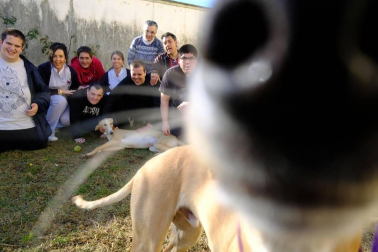 Dos galgos están cambiando, a mejor, el ritmo de vida del centro hospitalario benito menni de elizondo.