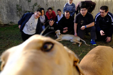 Dos galgos están cambiando, a mejor, el ritmo de vida del centro hospitalario benito menni de elizondo.