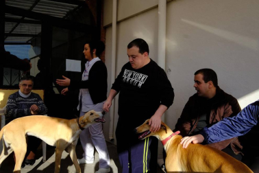Dos galgos están cambiando, a mejor, el ritmo de vida del centro hospitalario benito menni de elizondo.