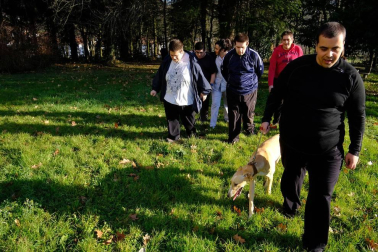 Dos galgos están cambiando, a mejor, el ritmo de vida del centro hospitalario benito menni de elizondo.