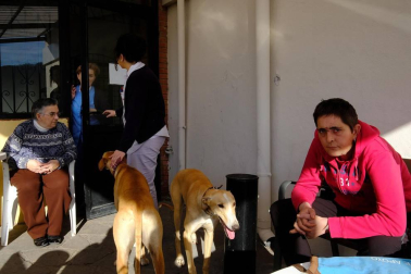 Dos galgos están cambiando, a mejor, el ritmo de vida del centro hospitalario benito menni de elizondo.