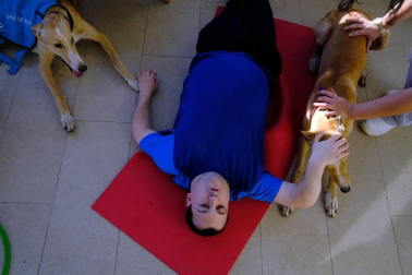 Dos galgos están cambiando, a mejor, el ritmo de vida del centro hospitalario benito menni de elizondo.