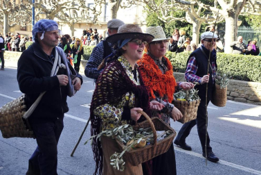 Imágenes del carnaval en Tafalla
