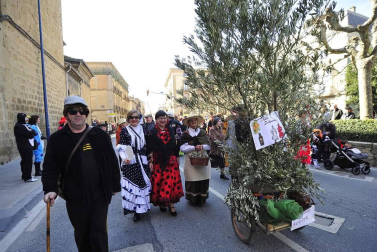Imágenes del carnaval en Tafalla