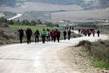Javierada. Los peregrinos de la Ribera almuerzan en el yugo y atraviesan las Bardenas, camino de Javier