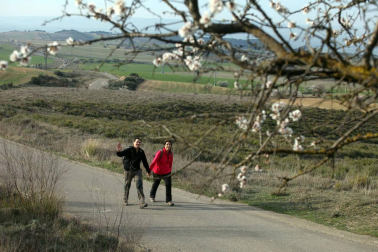 Javierada. Los peregrinos de la Ribera almuerzan en el yugo y atraviesan las Bardenas, camino de Javier