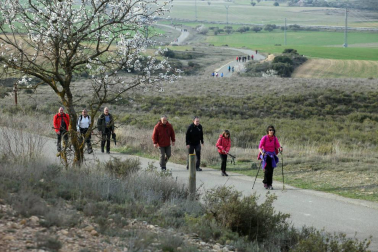 Javierada. Los peregrinos de la Ribera almuerzan en el yugo y atraviesan las Bardenas, camino de Javier