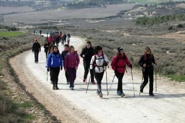 Javierada. Los peregrinos de la Ribera almuerzan en el yugo y atraviesan las Bardenas, camino de Javier