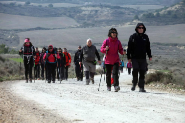 Javierada. Los peregrinos de la Ribera almuerzan en el yugo y atraviesan las Bardenas, camino de Javier