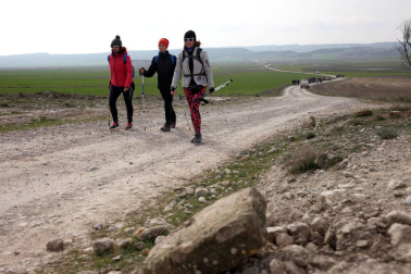 Javierada. Los peregrinos de la Ribera almuerzan en el yugo y atraviesan las Bardenas, camino de Javier