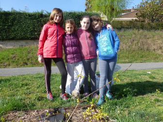 Los vecinos de Aoiz no dejaron pasar la oportunidad de participar en un día emblemático, el dedicado al árbol. Armados con palas y azadas, se acercaron hasta el parque situado junto a la Notaría, donde se procedió a plantar los nuevos ejemplares. Los más pequeños se convirtieron en los protagonistas de la jornada.