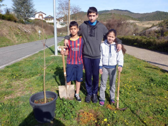 Los vecinos de Aoiz no dejaron pasar la oportunidad de participar en un día emblemático, el dedicado al árbol. Armados con palas y azadas, se acercaron hasta el parque situado junto a la Notaría, donde se procedió a plantar los nuevos ejemplares. Los más pequeños se convirtieron en los protagonistas de la jornada.
