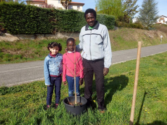 Los vecinos de Aoiz no dejaron pasar la oportunidad de participar en un día emblemático, el dedicado al árbol. Armados con palas y azadas, se acercaron hasta el parque situado junto a la Notaría, donde se procedió a plantar los nuevos ejemplares. Los más pequeños se convirtieron en los protagonistas de la jornada.