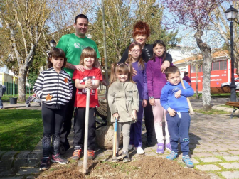 Los vecinos de Aoiz no dejaron pasar la oportunidad de participar en un día emblemático, el dedicado al árbol. Armados con palas y azadas, se acercaron hasta el parque situado junto a la Notaría, donde se procedió a plantar los nuevos ejemplares. Los más pequeños se convirtieron en los protagonistas de la jornada.
