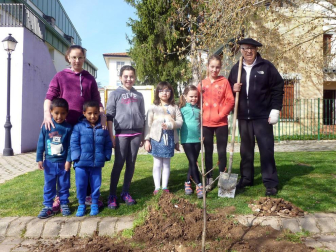 Los vecinos de Aoiz no dejaron pasar la oportunidad de participar en un día emblemático, el dedicado al árbol. Armados con palas y azadas, se acercaron hasta el parque situado junto a la Notaría, donde se procedió a plantar los nuevos ejemplares. Los más pequeños se convirtieron en los protagonistas de la jornada.