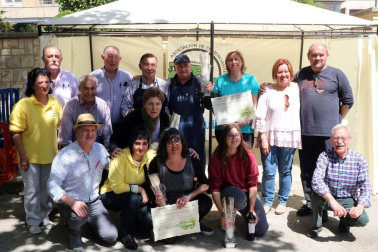 Concurso de guisos con verduras en el barrio de Lourdes