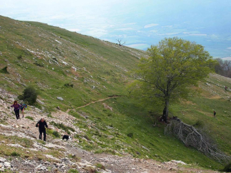 Imágenes de la XXVIII edición, en la que cientos de senderistas han subido a cimas como las del monte Beriain o San Miguel de Aralar.