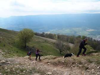 Imágenes de la XXVIII edición, en la que cientos de senderistas han subido a cimas como las del monte Beriain o San Miguel de Aralar.
