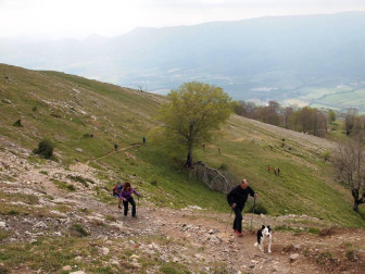 Imágenes de la XXVIII edición, en la que cientos de senderistas han subido a cimas como las del monte Beriain o San Miguel de Aralar.