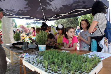 niños plantan arboles en paseo del Prado de Tudela