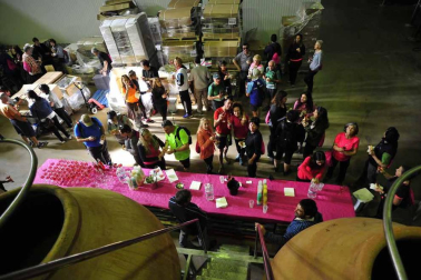 Imágenes de la primera Marcha del Rosado en San Martín de Unx