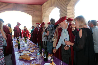 Imágenes de la jornada dedicada al XXVIII Capítulo de la Cofradía del vino de Navarra en Murchante