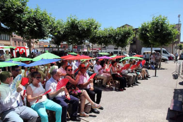 Imágenes de la XVIII Fiesta de la Cereza de Milagro.