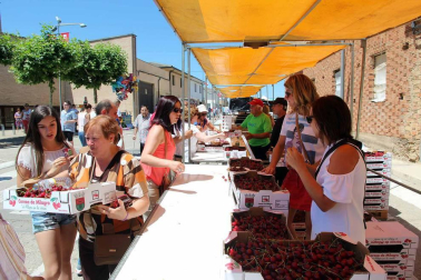 Imágenes de la XVIII Fiesta de la Cereza de Milagro.