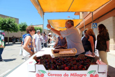Imágenes de la XVIII Fiesta de la Cereza de Milagro.