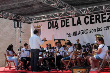 Imágenes de la XVIII Fiesta de la Cereza de Milagro.
