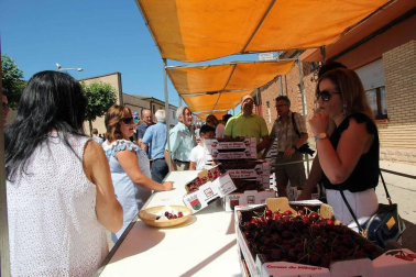 Imágenes de la XVIII Fiesta de la Cereza de Milagro.