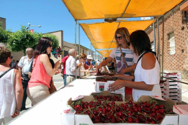Imágenes de la XVIII Fiesta de la Cereza de Milagro.
