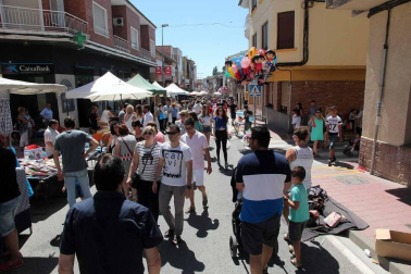 Imágenes de la XVIII Fiesta de la Cereza de Milagro.