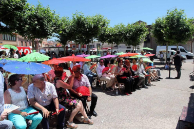 Imágenes de la XVIII Fiesta de la Cereza de Milagro.