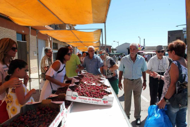 Imágenes de la XVIII Fiesta de la Cereza de Milagro.