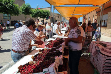 Imágenes de la XVIII Fiesta de la Cereza de Milagro.