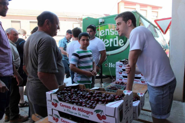 Imágenes de la XVIII Fiesta de la Cereza de Milagro.