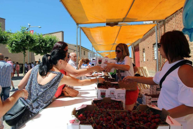 Imágenes de la XVIII Fiesta de la Cereza de Milagro.