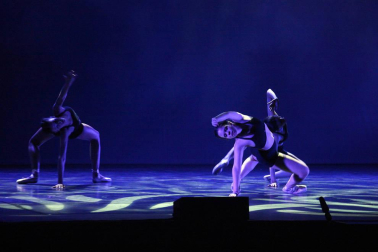 alumnos de la escuela  de Danza y Teatro Ángel Martínez durante las actuaciones