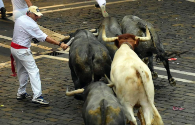 Imágenes de la carrera el 8 de julio.