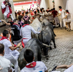 Imágenes de la carrera el 8 de julio.