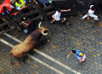 Carrera del 9 de julio de 2017.
