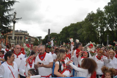 Imágenes de la ofrenda de los niños a San Fermín