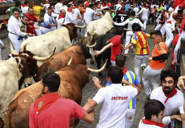 Imágenes del cuarto encierro de San Fermín de Pamplona