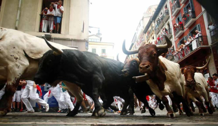 Imágenes del cuarto encierro de San Fermín de Pamplona